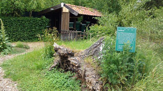 Kasteeltuin Oud-Valkenburg
